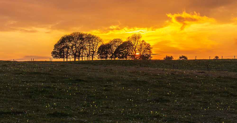Middleton Moor Middleton Moor